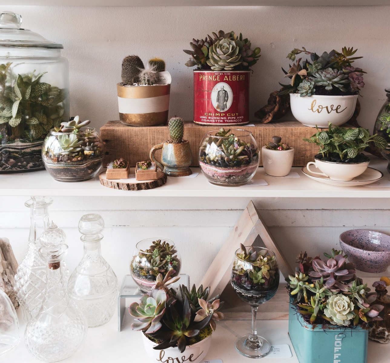 indoor plants in pots on a wooden shelving unit