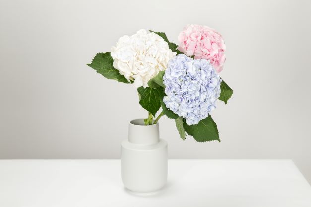 flowers in white vase