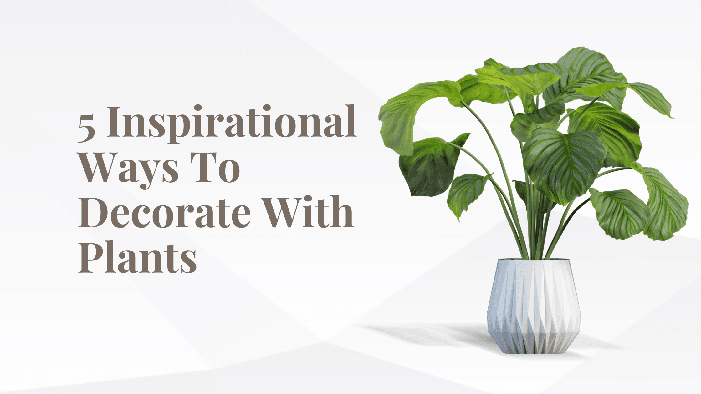 5 Inspirational Ways To Decorate With Plants