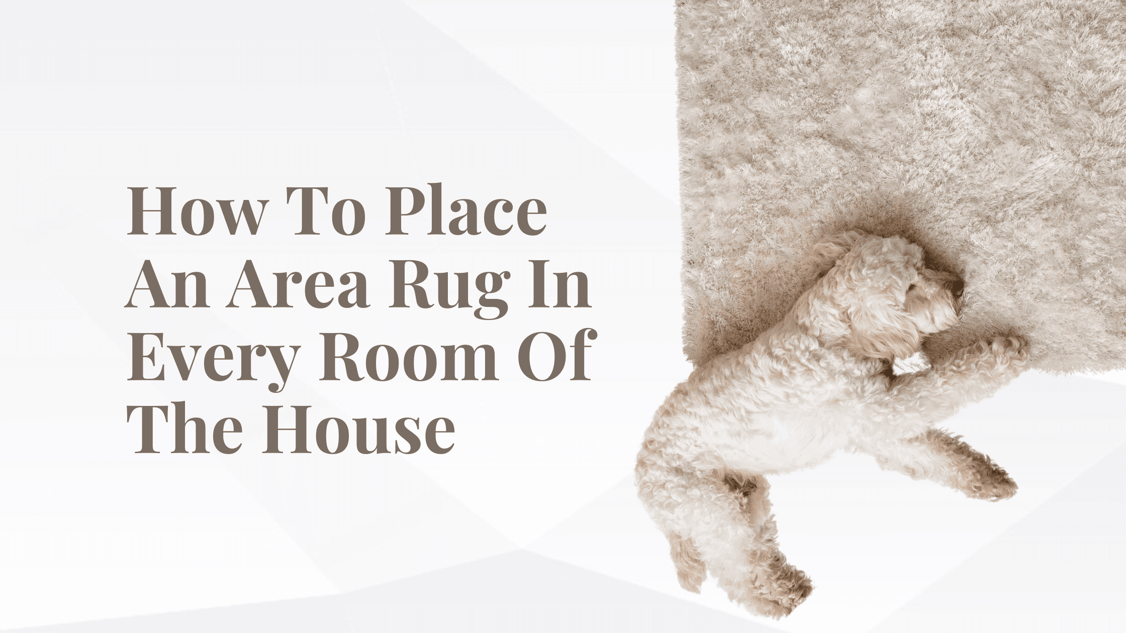 How To Place An Area Rug In Every Room Of The House