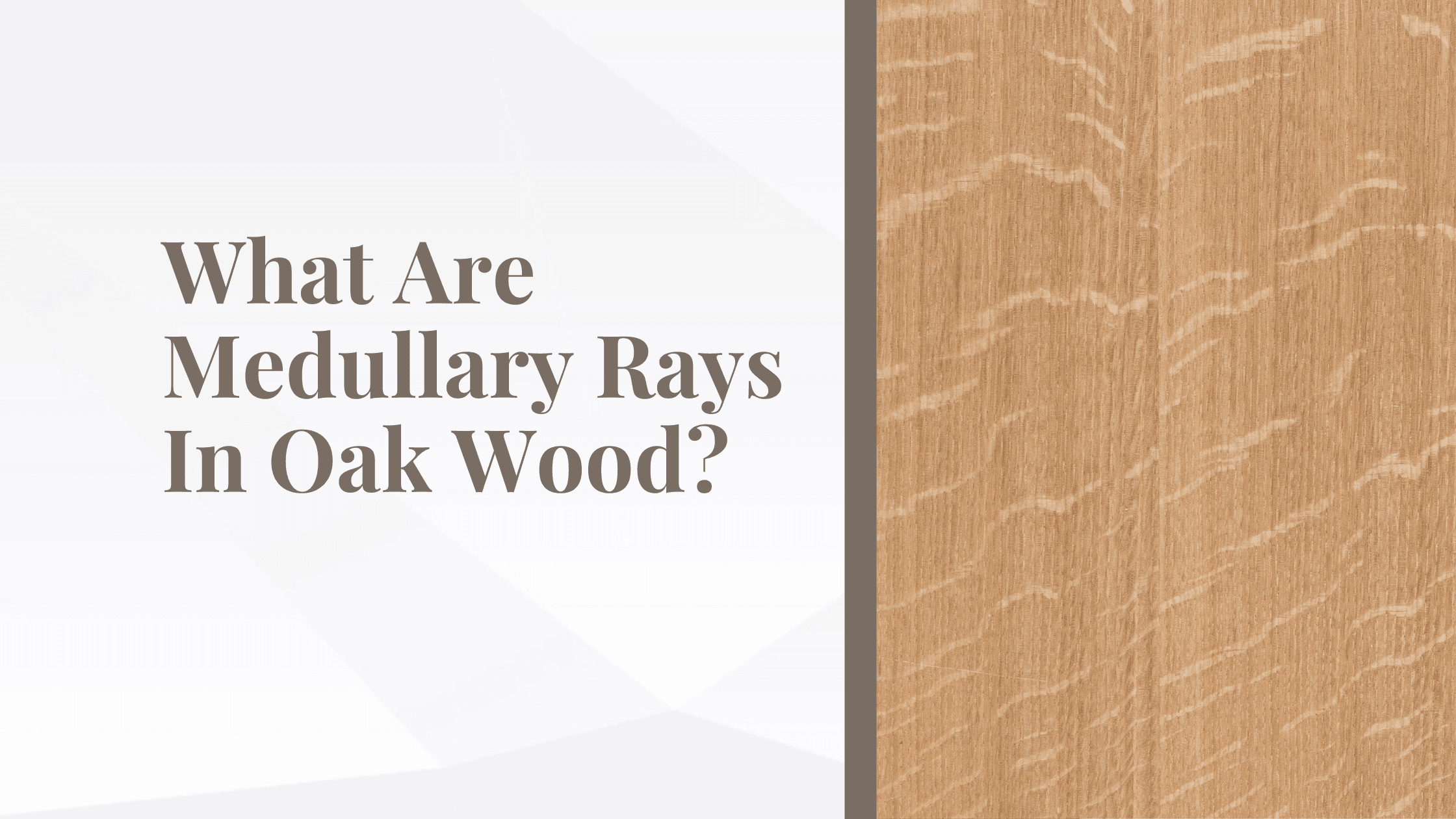 What Are Medullary Rays In Oak Wood