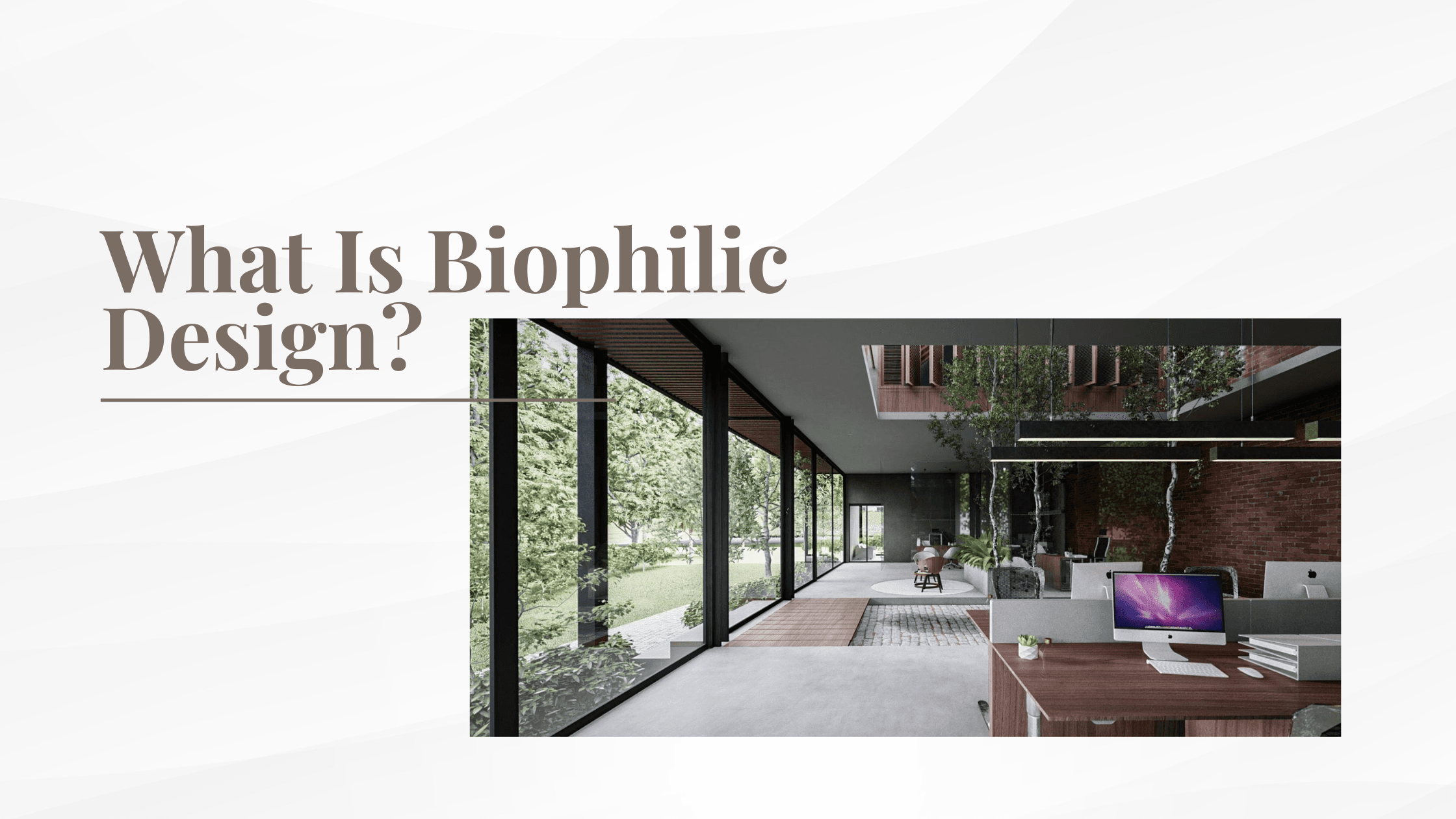 What Is Biophilic Design