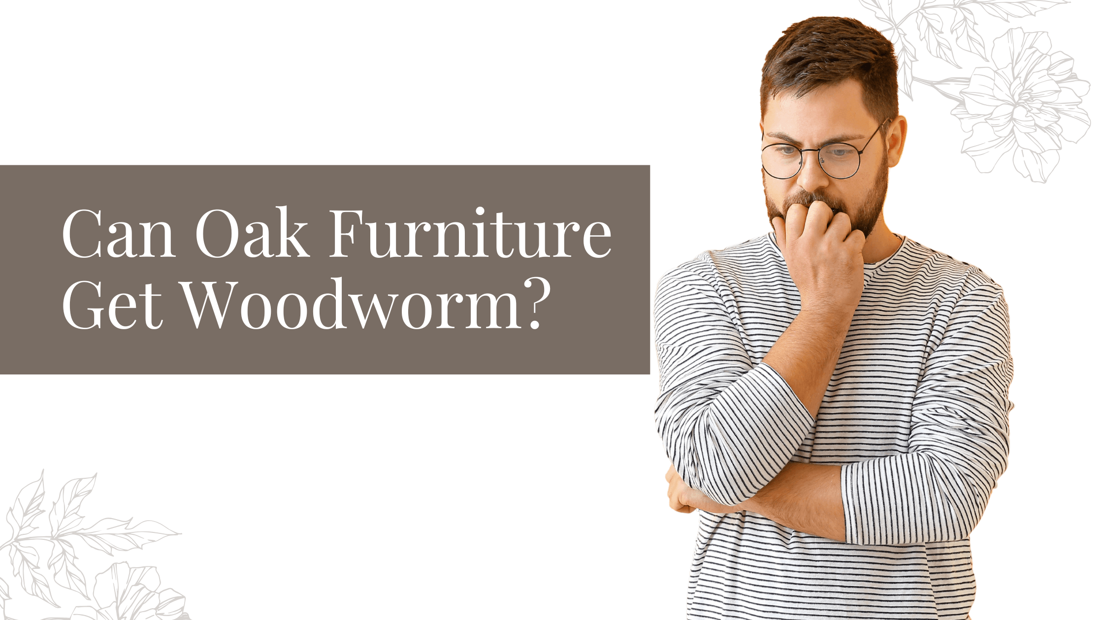 Can Oak Furniture Get Woodworm? Expert Guide