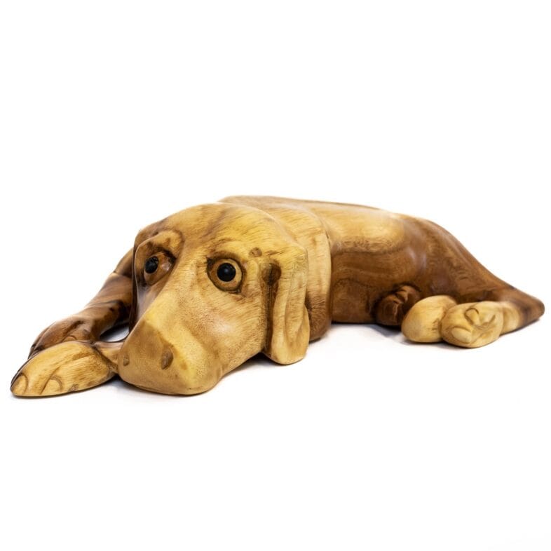 Natures Way Sleeping Dog