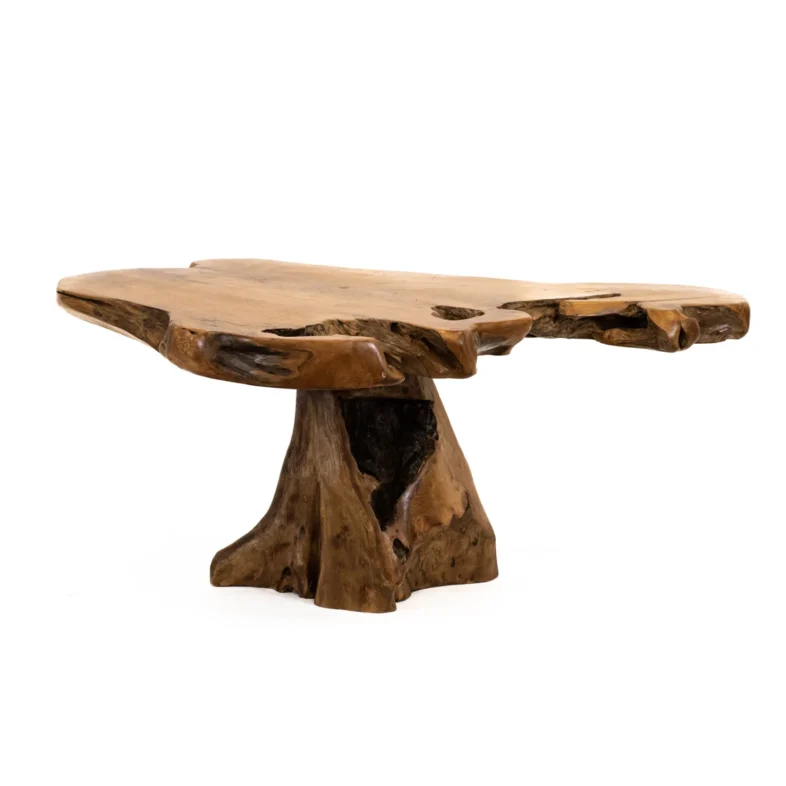 Natures Way Mushroom Coffee Table
