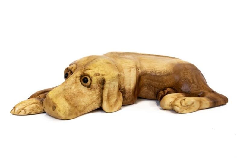 Natures Way Sleeping Dog - Image 2