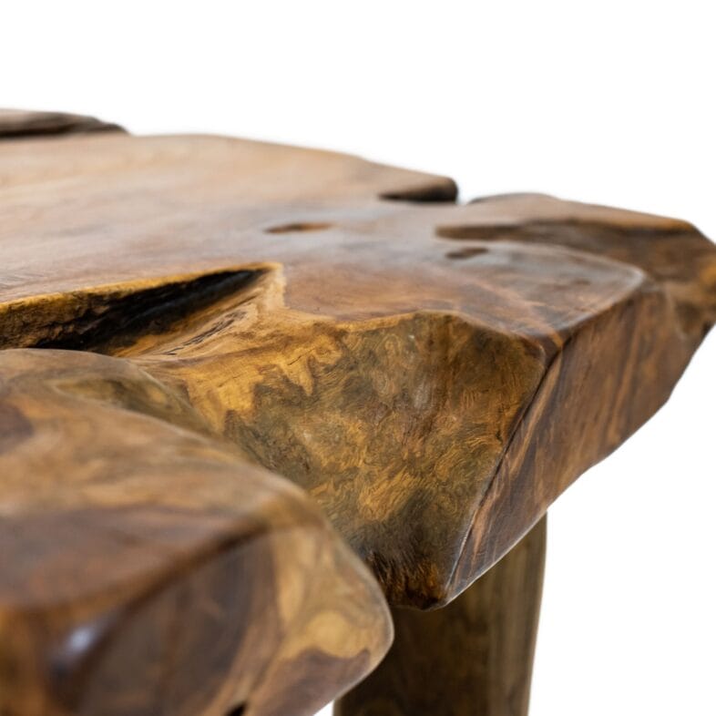 Natures Way Mushroom Coffee Table - Image 2